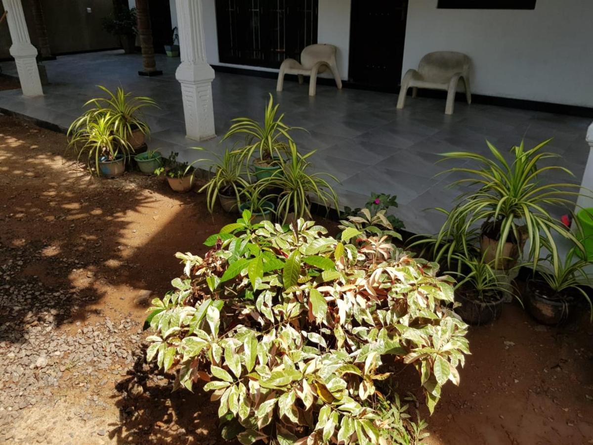 Hotel Jungle Reef Rest Mirissa Zewnętrze zdjęcie