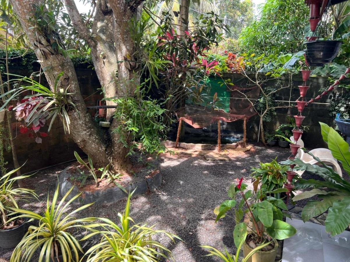 Hotel Jungle Reef Rest Mirissa Zewnętrze zdjęcie