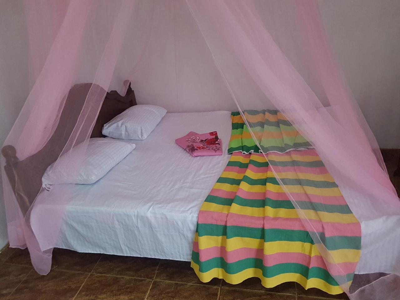 Hotel Jungle Reef Rest Mirissa Zewnętrze zdjęcie